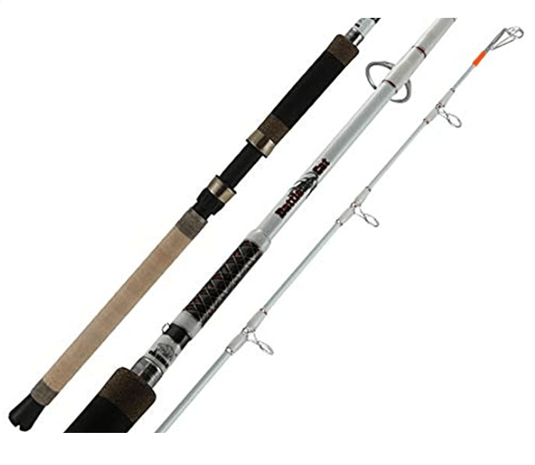 Top 10 Best Catfish Rods for 2024