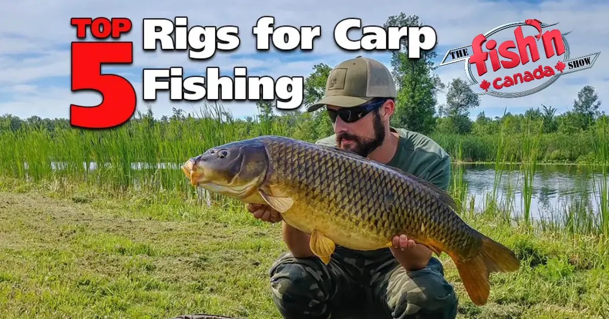 Top Rigs For Carp Fishing Fish'n Canada motosdidac.es