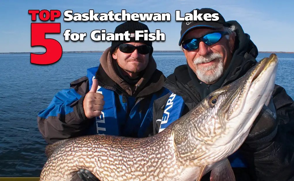 Top 5 Saskatchewan Lakes for Giant Fish Fish'n Canada