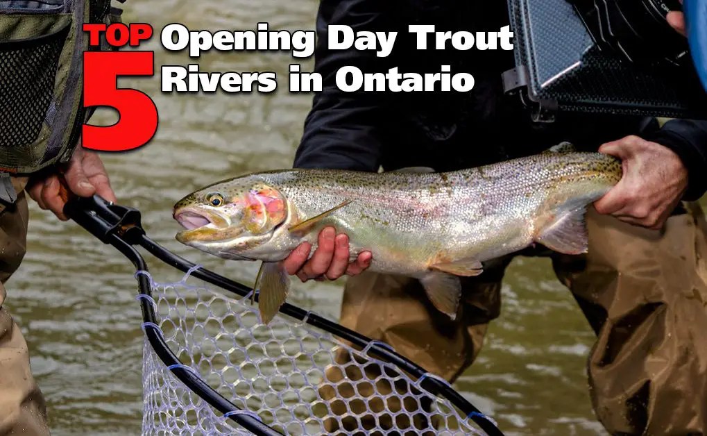 Top 5 Opening Day Trout Rivers in Ontario Fish'n Canada