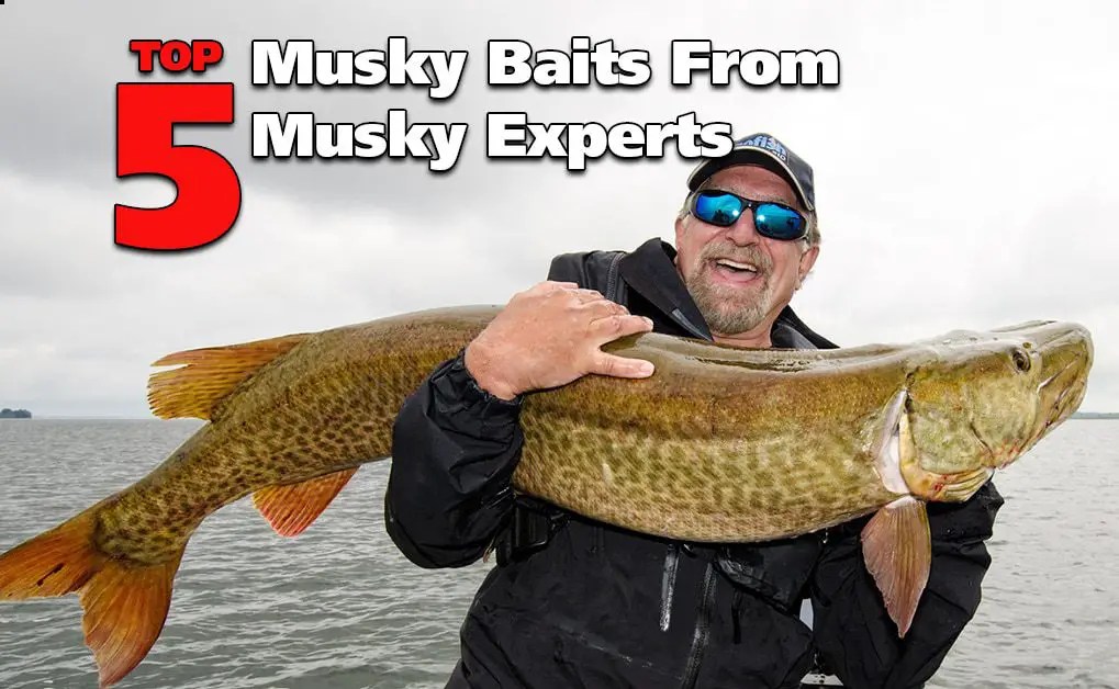 Top 5 Musky Baits From Musky Fishing Experts Fish'n Canada