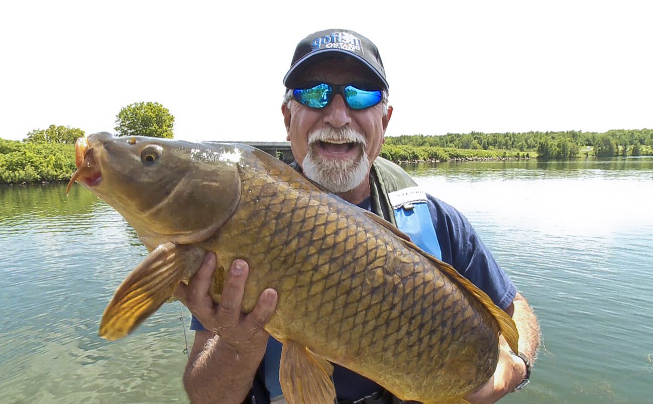 Should Carp In Ontario Be Considered A Sportfish? Fish'n Canada