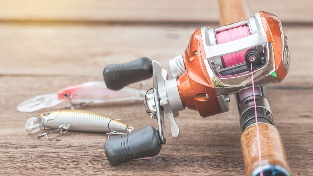 10 Best Trout Spinning Reels Expert Buying Guide for 2023