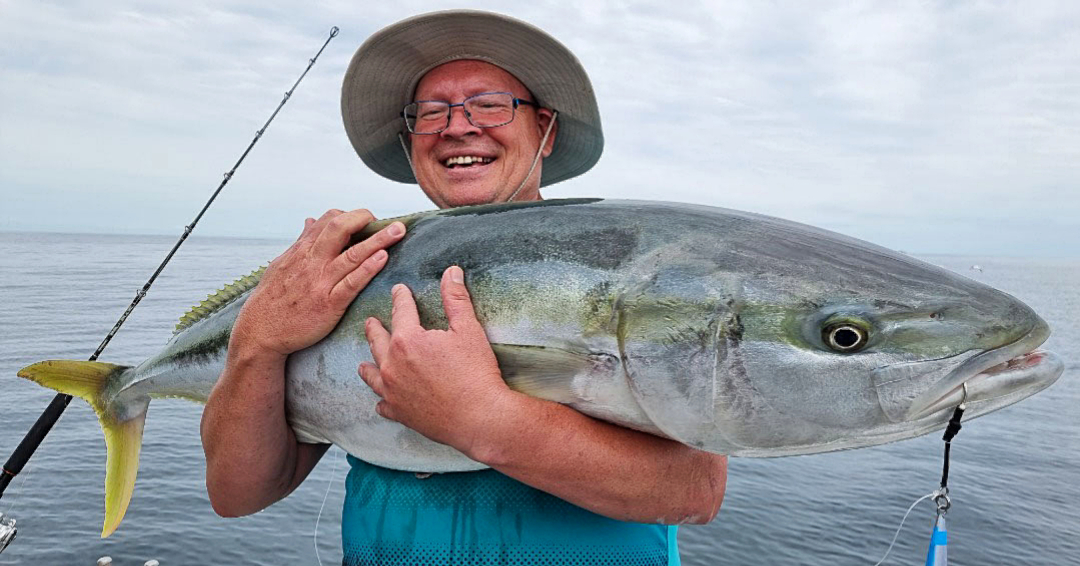 Fish 'n Dips Fishing Charters Auckland and beyond Kingfish