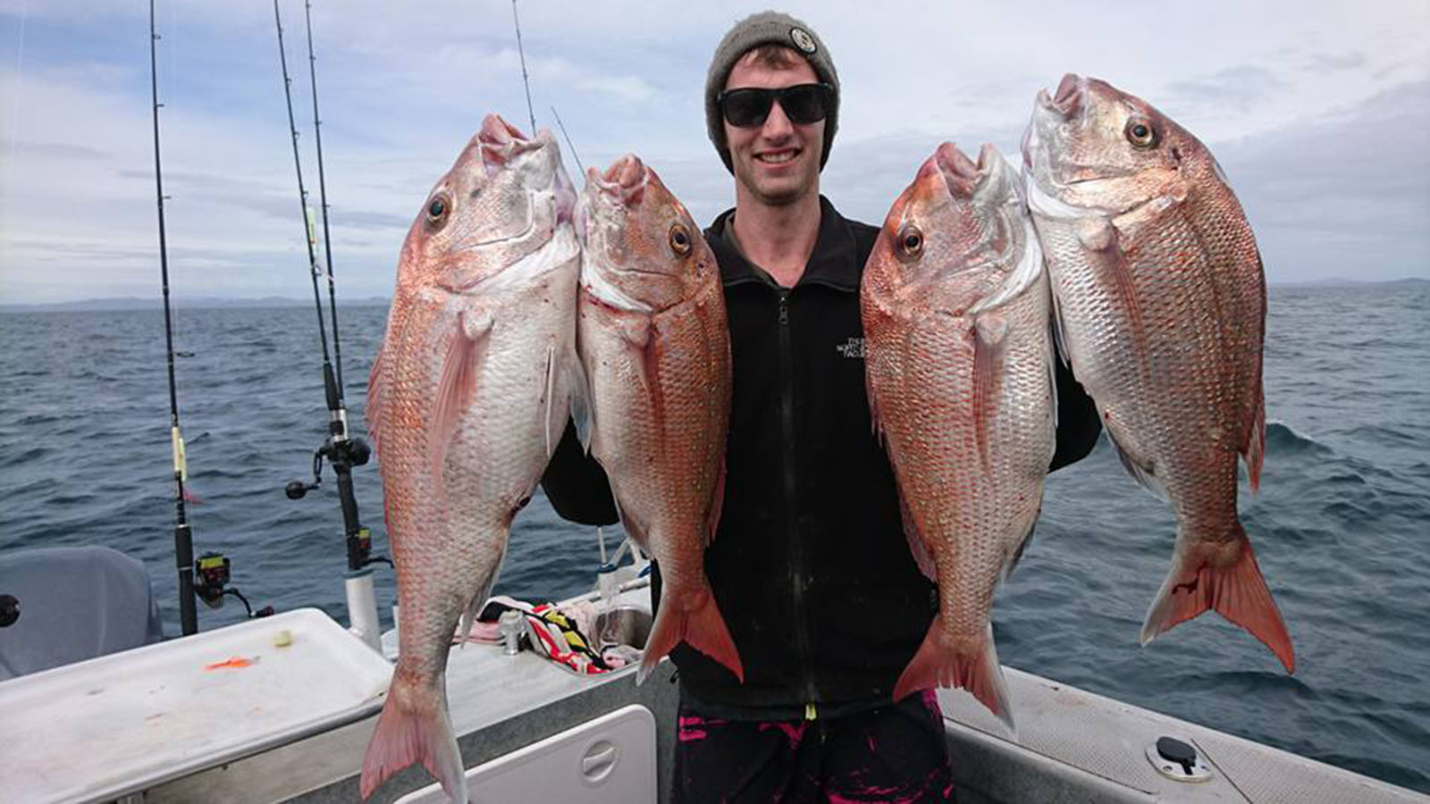 Fishing and Diving Charter Fish n' Dips Auckland based