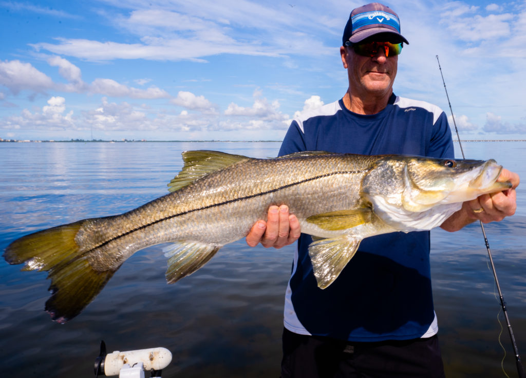 The Best Season For Snook Fishing In Tampa