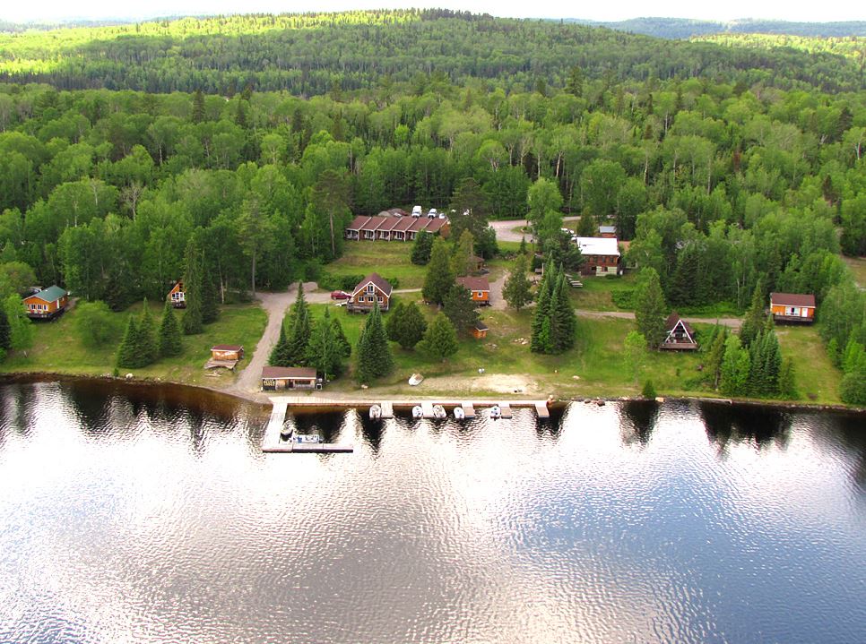 Gowganda Shining Tree Fish North