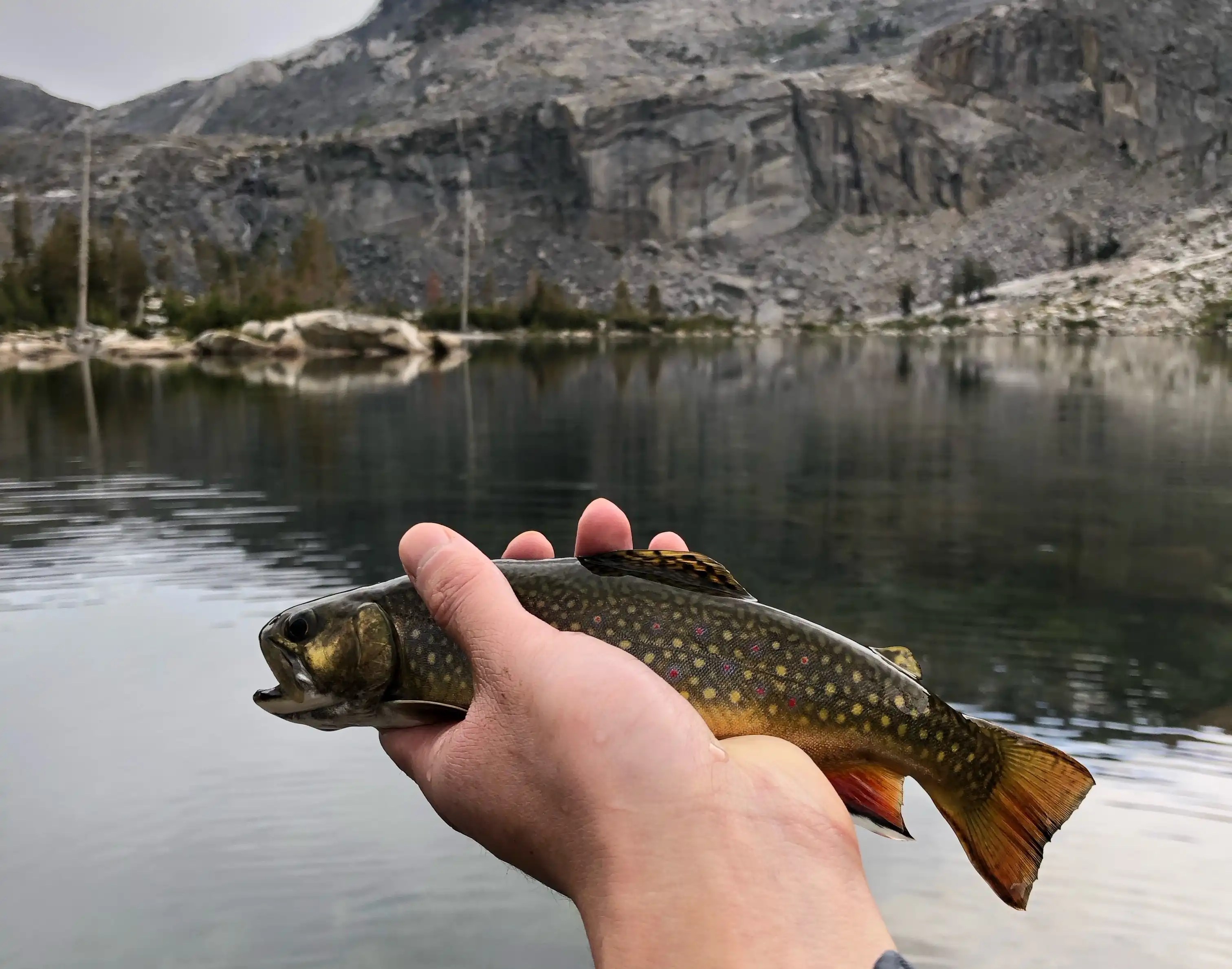 Wrights Lake and Twin Lakes Fishing