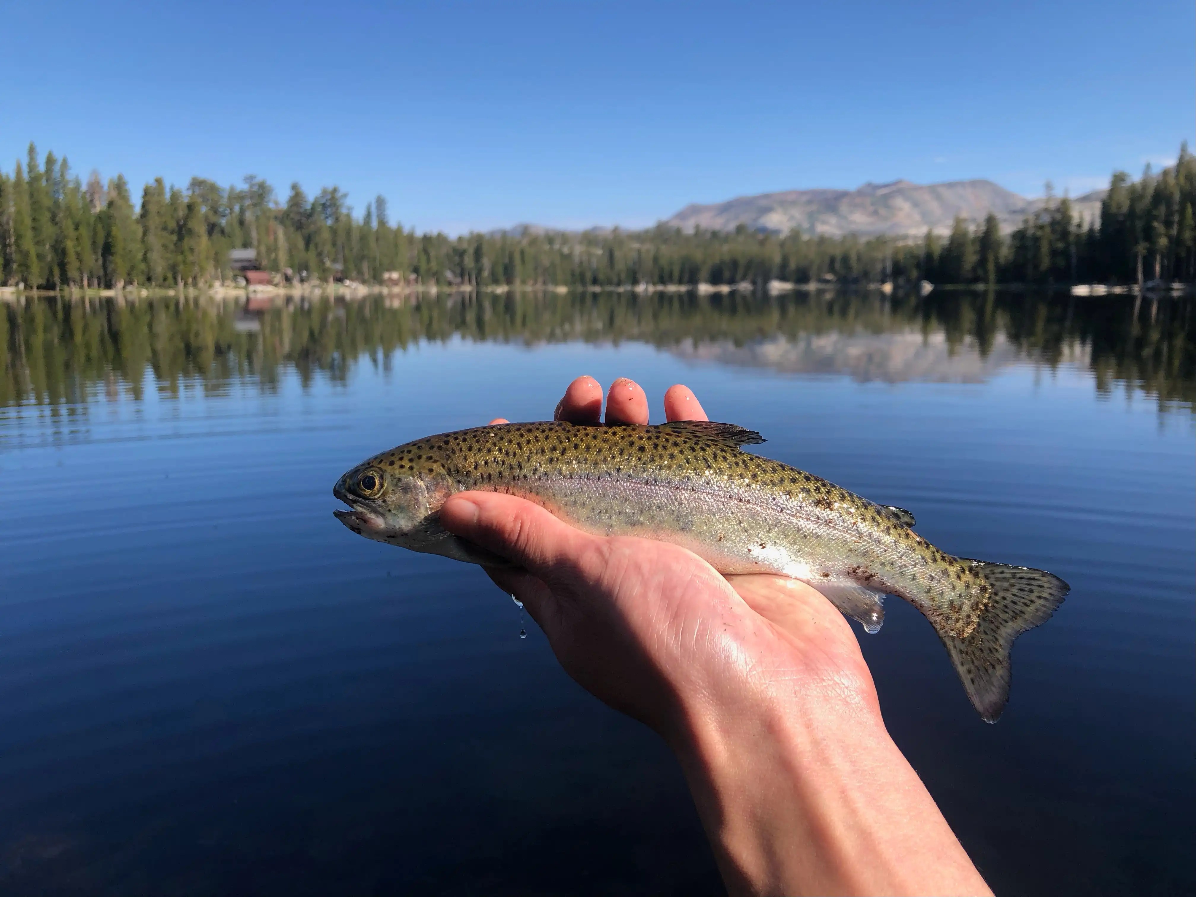 Wrights Lake and Twin Lakes Fishing