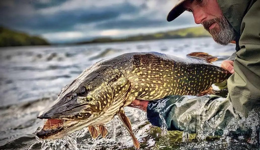 Best Hooks & Lures for Successful Pike Fishing