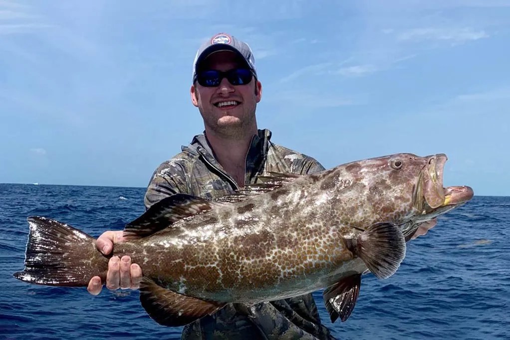 Grouper Fish Habitat, Diet, Life Cycle, and Facts FishOnTips