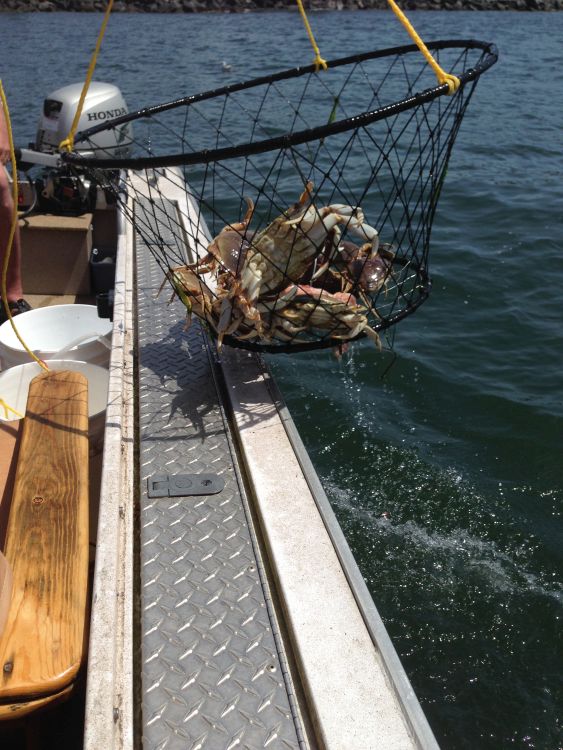Coquille River Fishing at Bandon Oregon, Crabbing Trips
