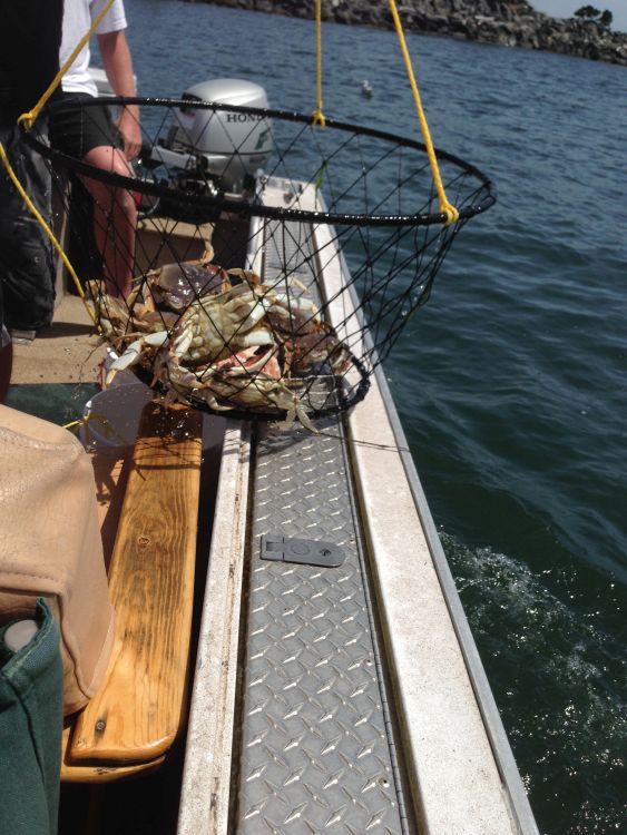 Coquille River Fishing at Bandon Oregon, Crabbing Trips