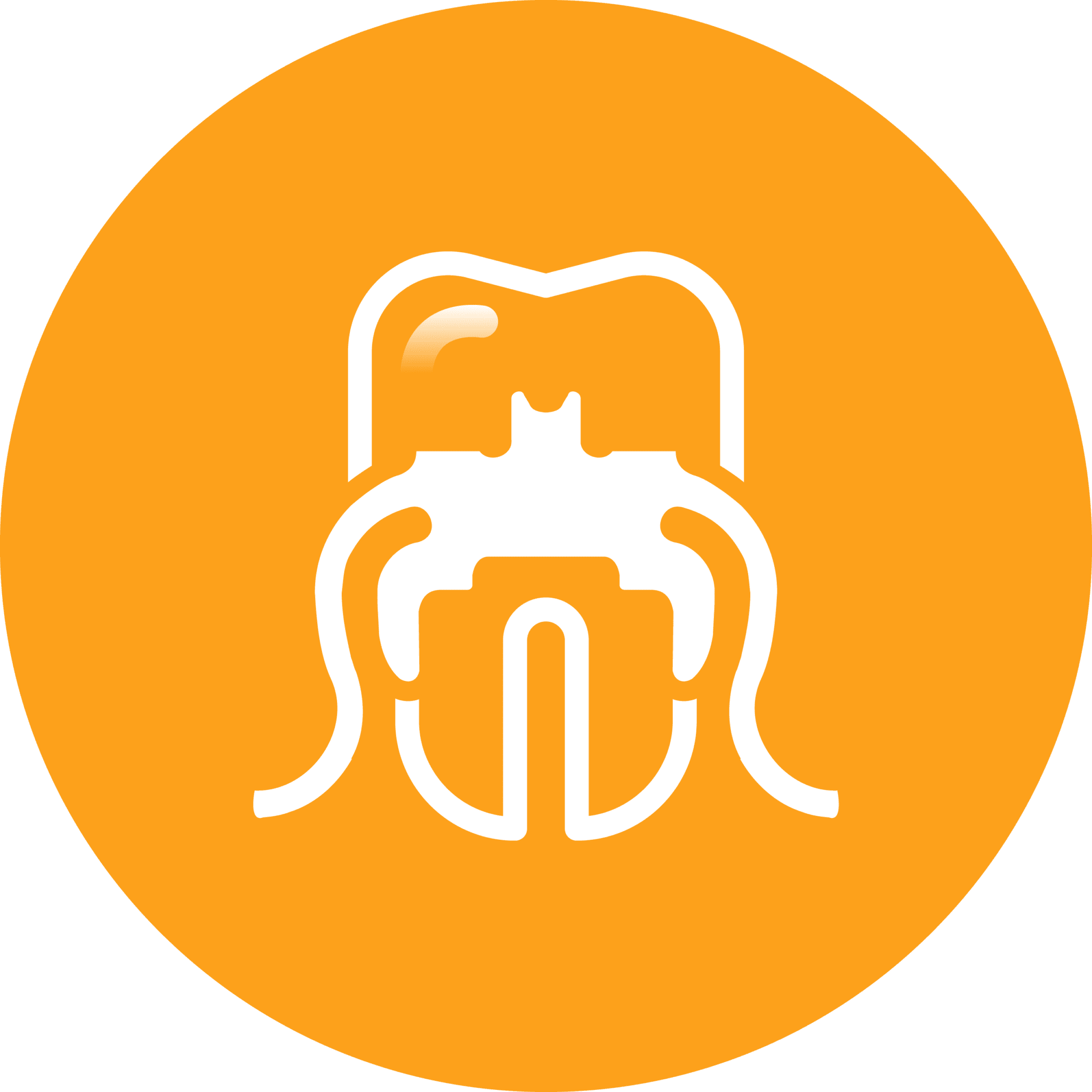 InBrace Fishbein Orthodontics