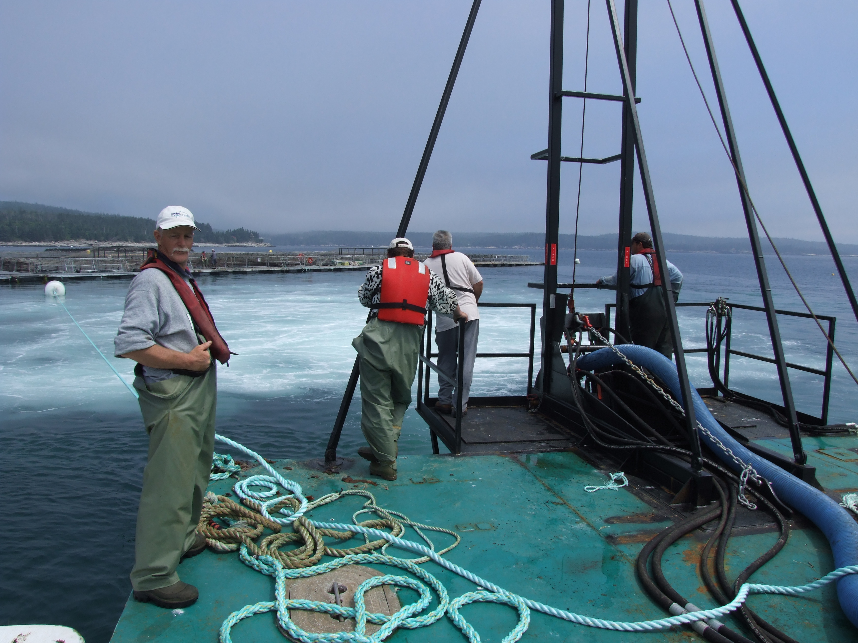 Seeley's Cove Research Centre Photo Gallery