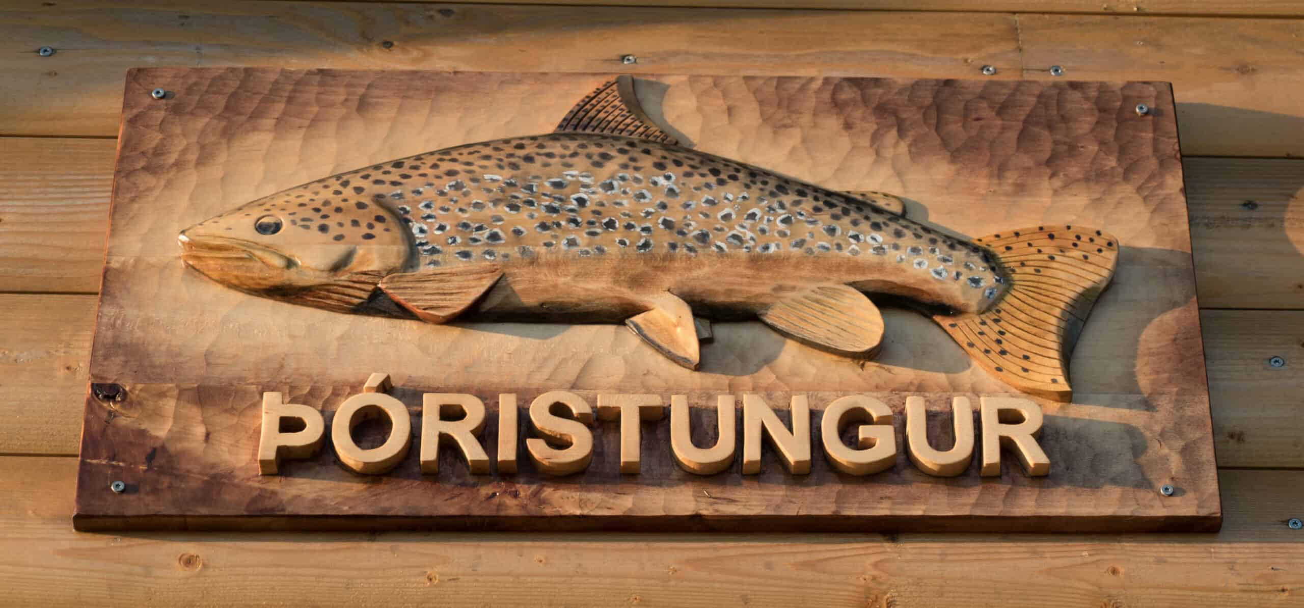 Highland Rivers Fully Guided Fish Partner