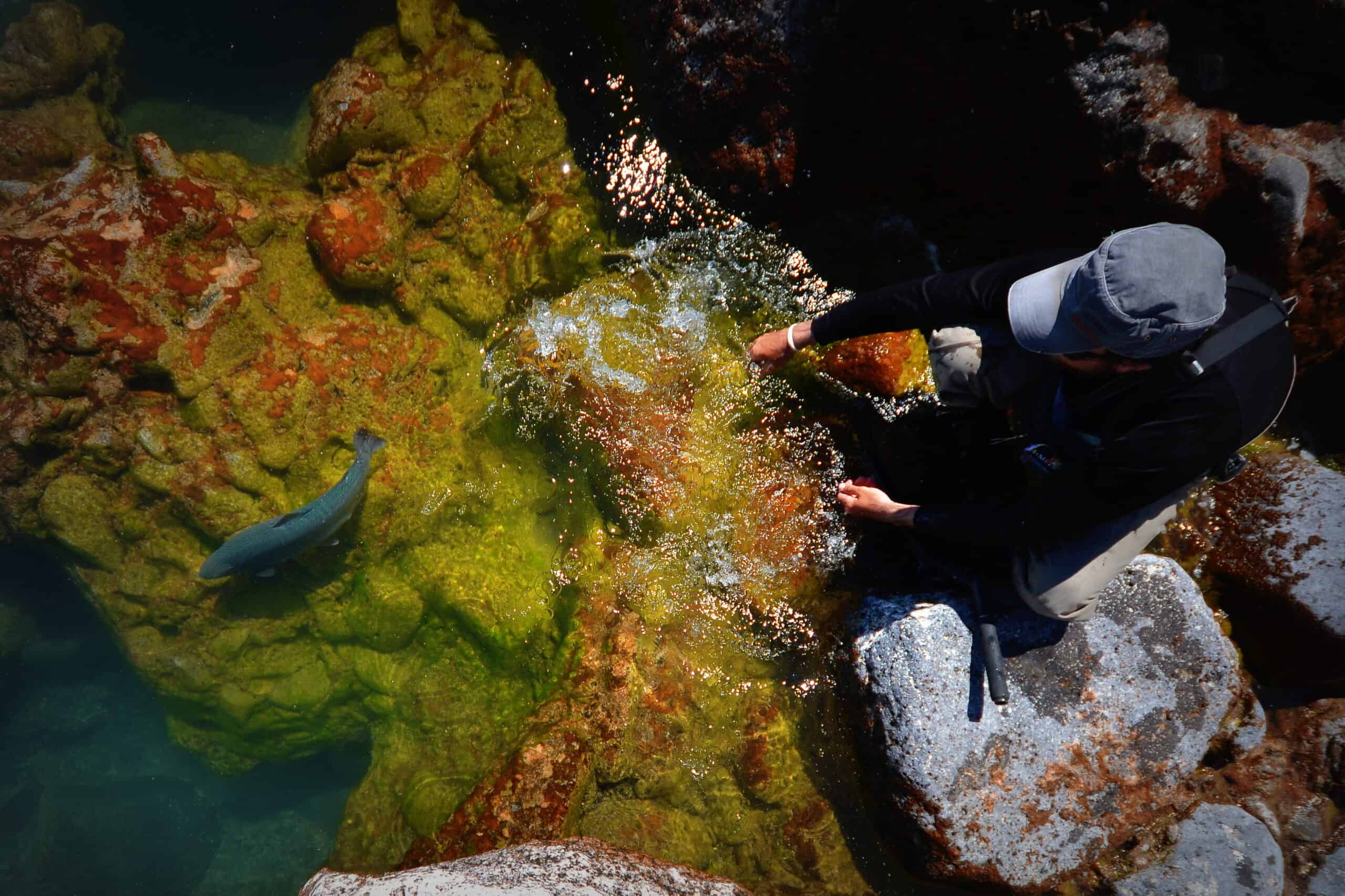 Jurassic Lake Estancia Laguna Verde Lodge Fish Partner