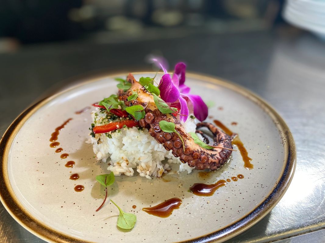 Best Seafood Restaurant in Naples Florida Fish Ristorante