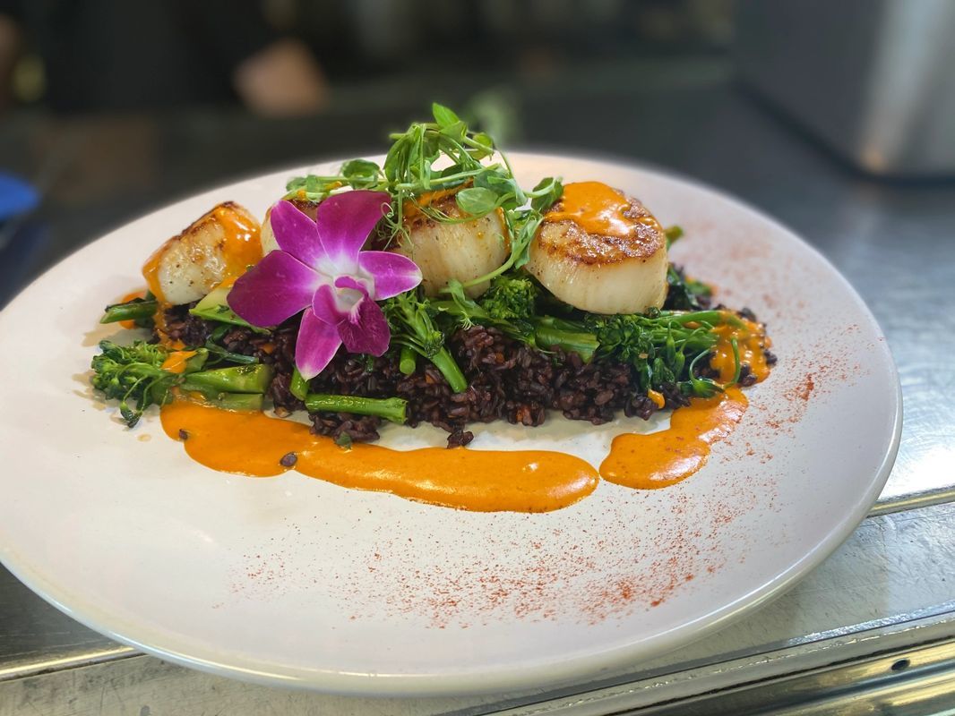 Best Seafood Restaurant in Naples Florida Fish Ristorante