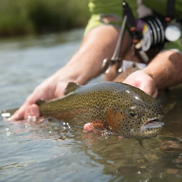 Lower Gunnison Trips RIGS Fly Shop & Guide Service FishRIGS