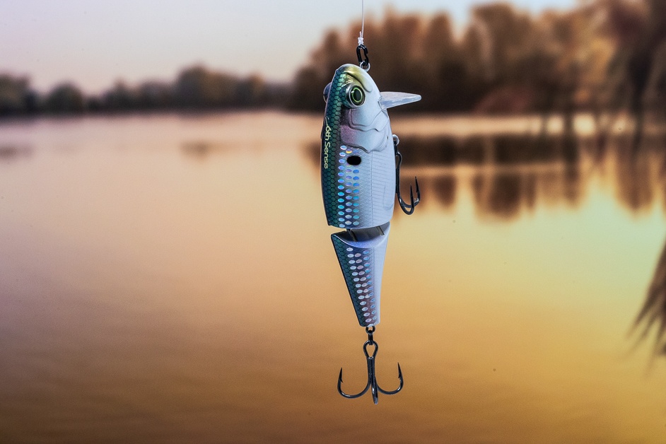Ultimate Guide to Wake Baits for Bass Fishing FishRook