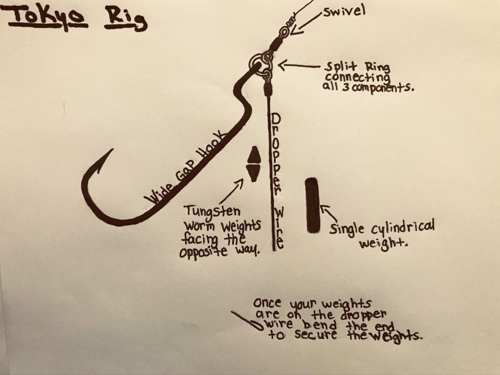Tokyo Rig Guide Beginner for Fishermen FishRook