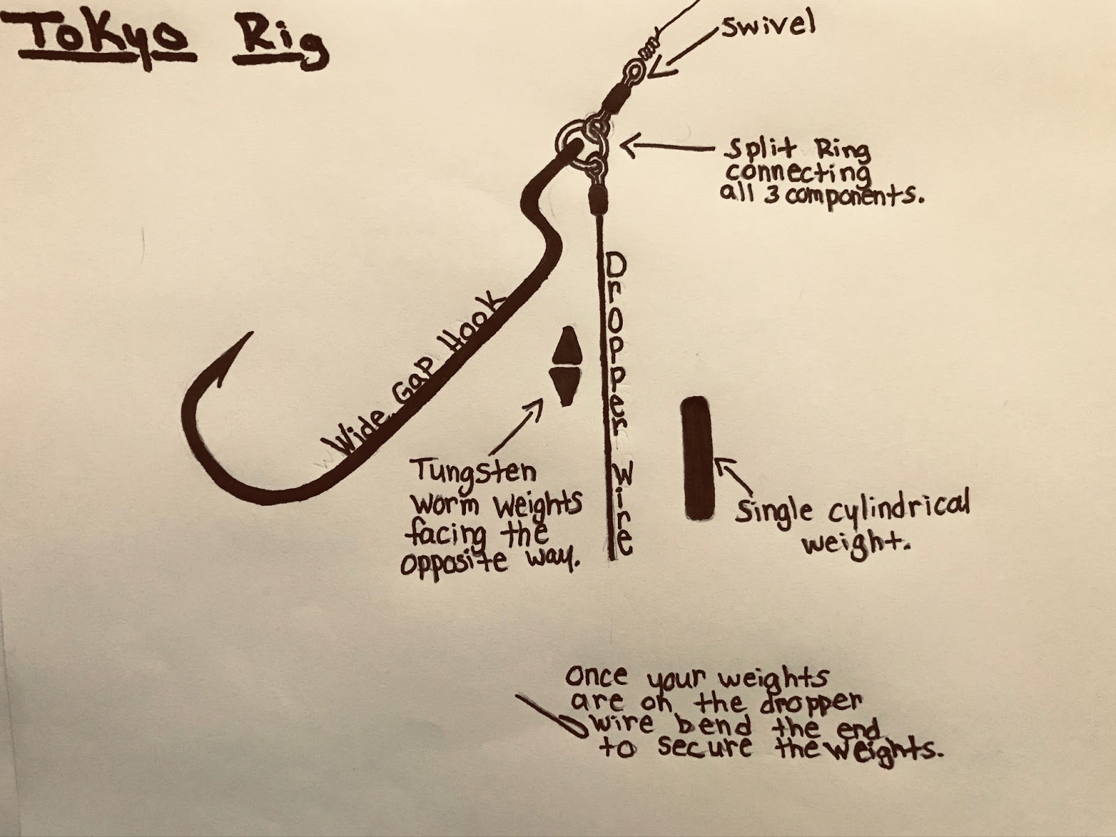 Tokyo Rig Guide Beginner for Fishermen FishRook