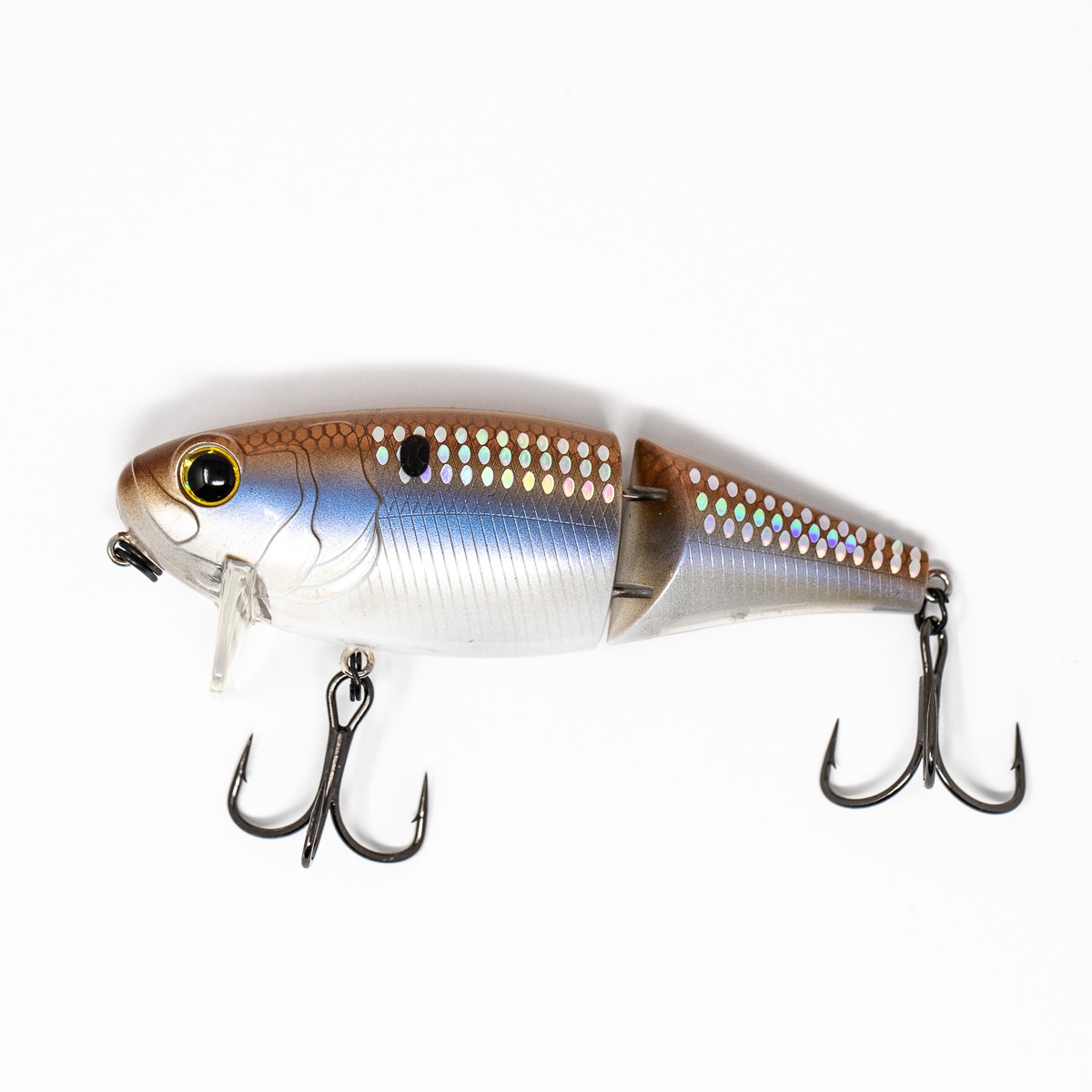 Ultimate Guide to Wake Baits for Bass Fishing FishRook