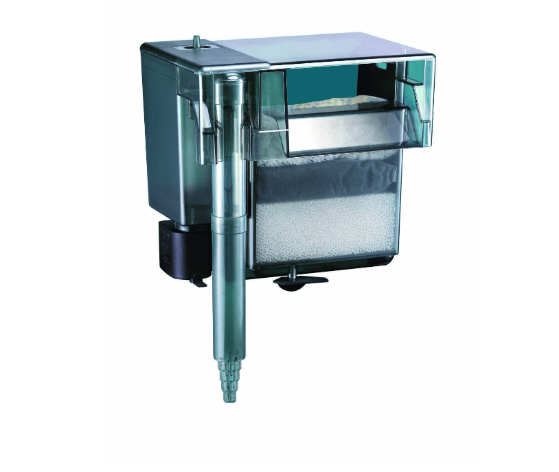 The Best Filters For 20 Gallon Fish Tank