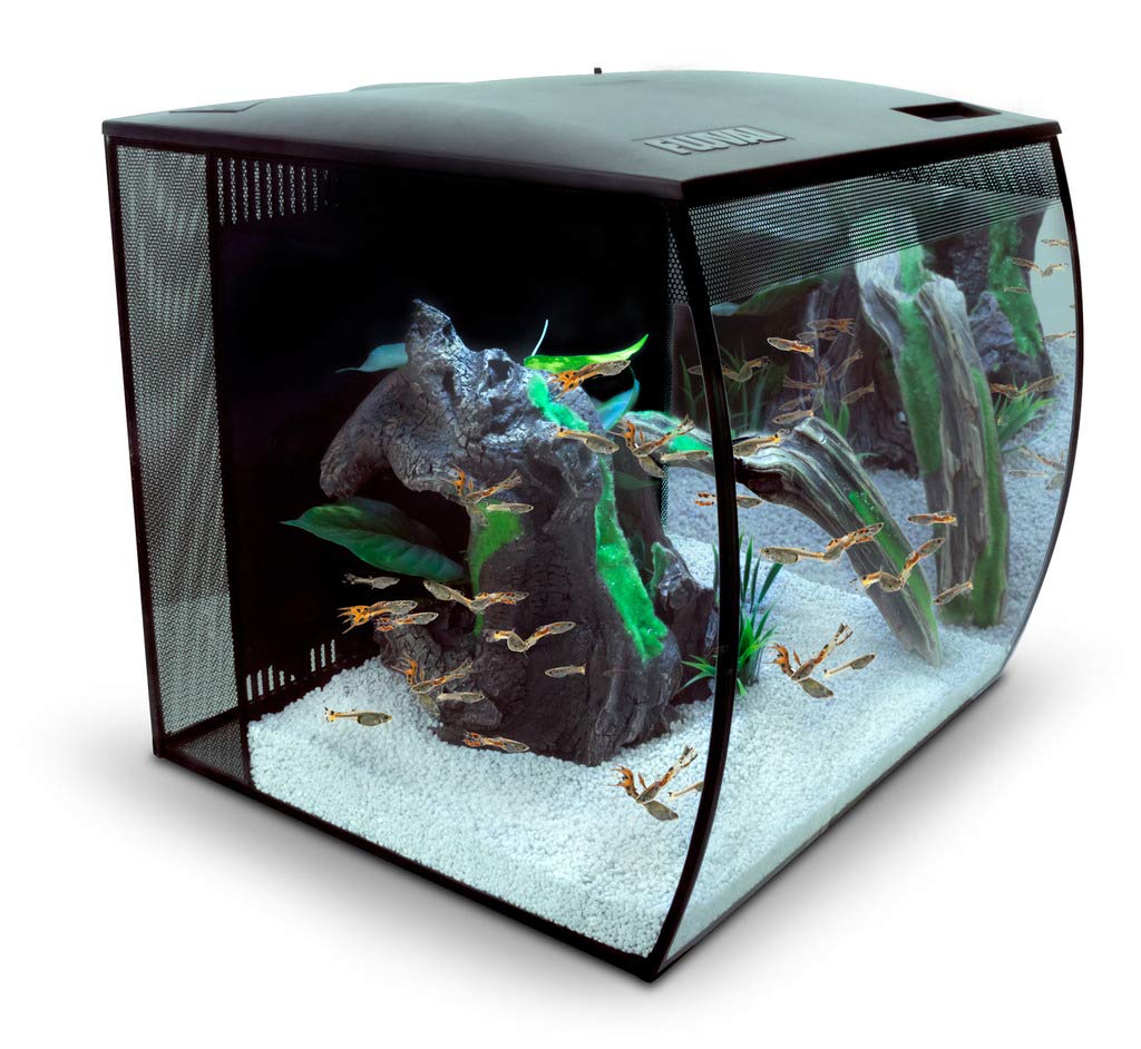 Best 15 Gallon Fish Tank Aquarium Reviews and Setup Ideas