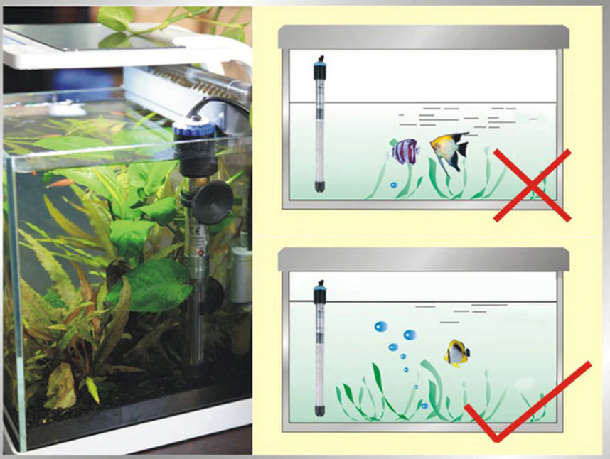 Best Nano Aquariums 5 Nano Tanks Reviews 2019