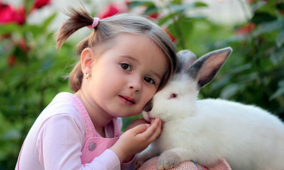 Rabbit Tuberculosis Disease(Symptoms, Treatment, medicines)