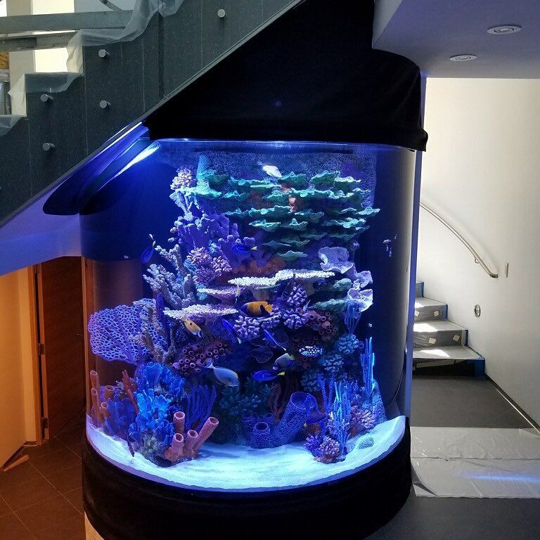 Best Fish Tank Aquarium Need a Quality Fish Tank Guide