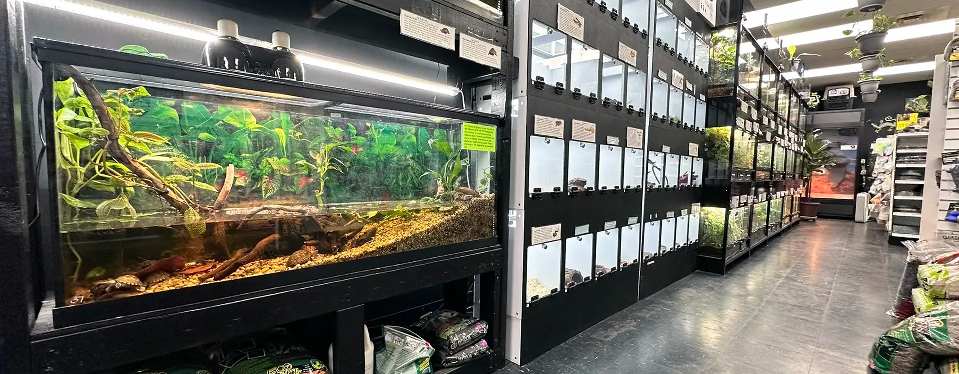 Fish Tails Pet Emporium Maine Pet Store Mammals, Reptiles, Birds