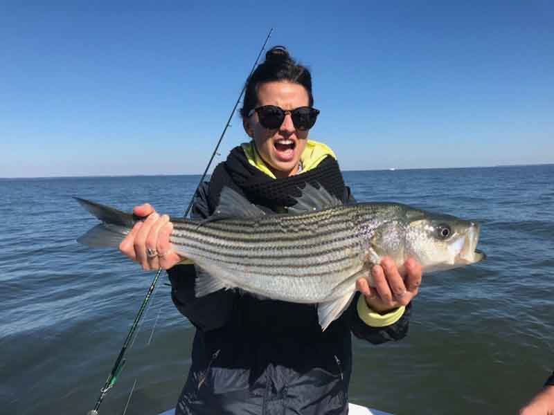 Upper Chesapeake Bay Fishing Report, November, 2019 FishTalk Magazine