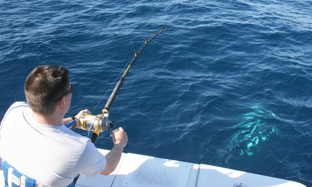 5 Tragic Ways to Lose the Fish of a Lifetime FishTalk Magazine