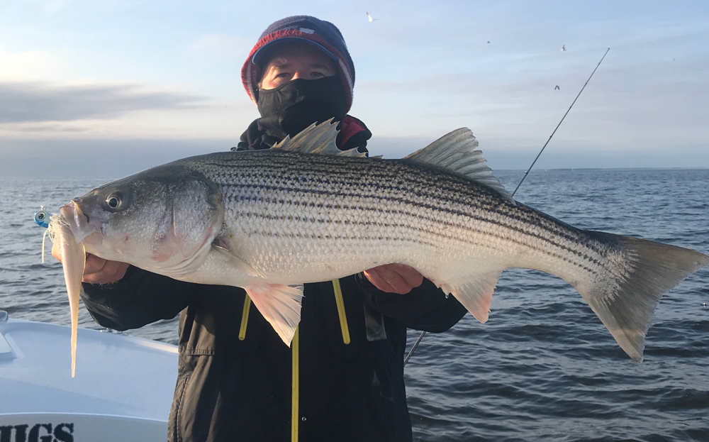 November Lower Chesapeake Bay Fishing Report FishTalk Magazine