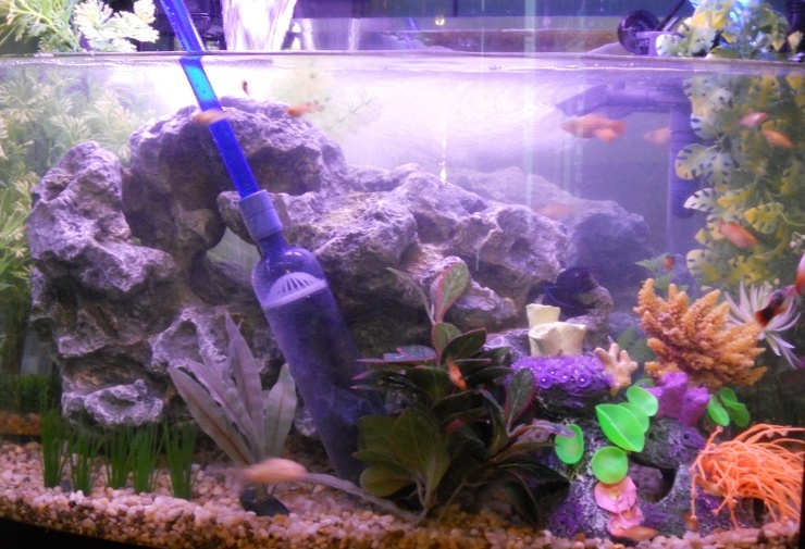 Best Aquarium Vacuum Gravel Cleaner in 2018 (REVIEWS) Fish Tank Advisor