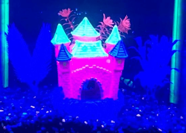 The 5 BEST Glofish Tank Decorations Fishtank Expert