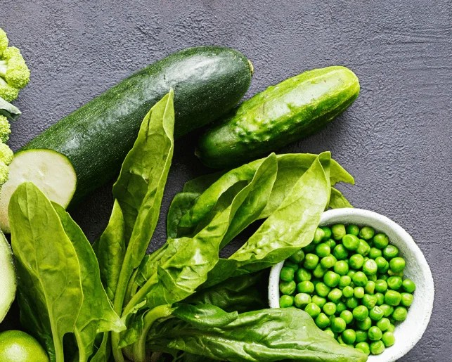 Can Tropical Fish Eat Goldfish Food?