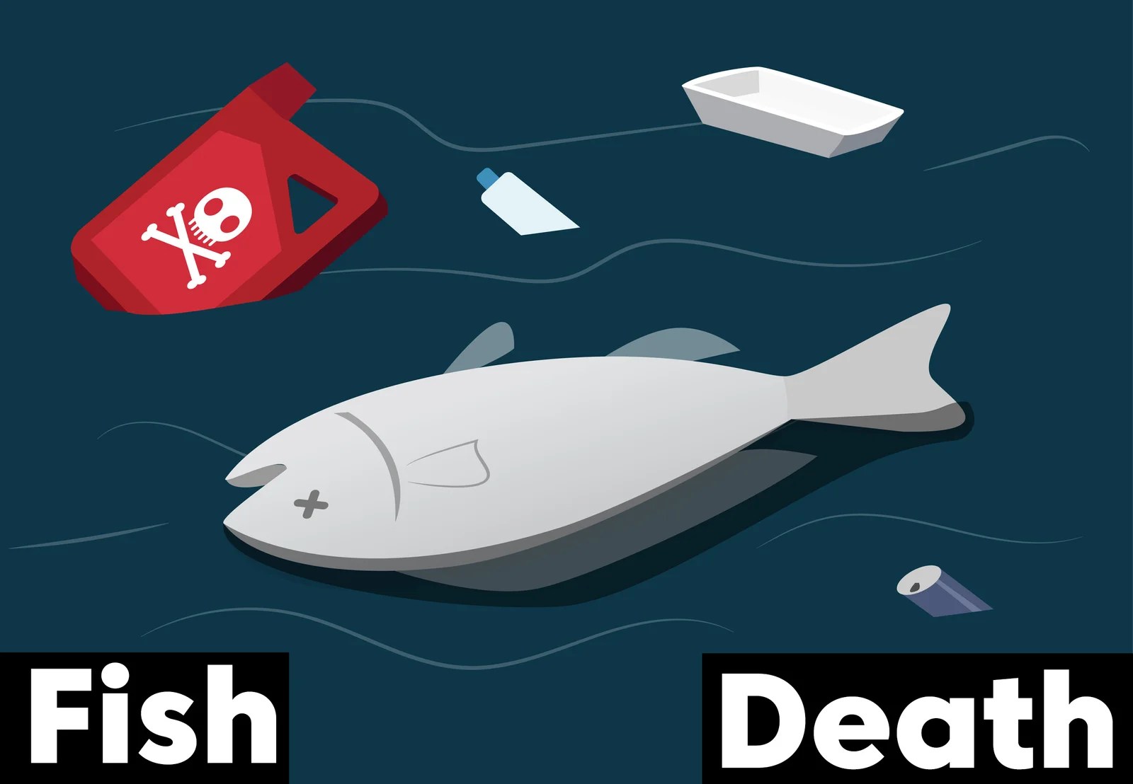 What To Do When A Fish Dies In Your Aquarium