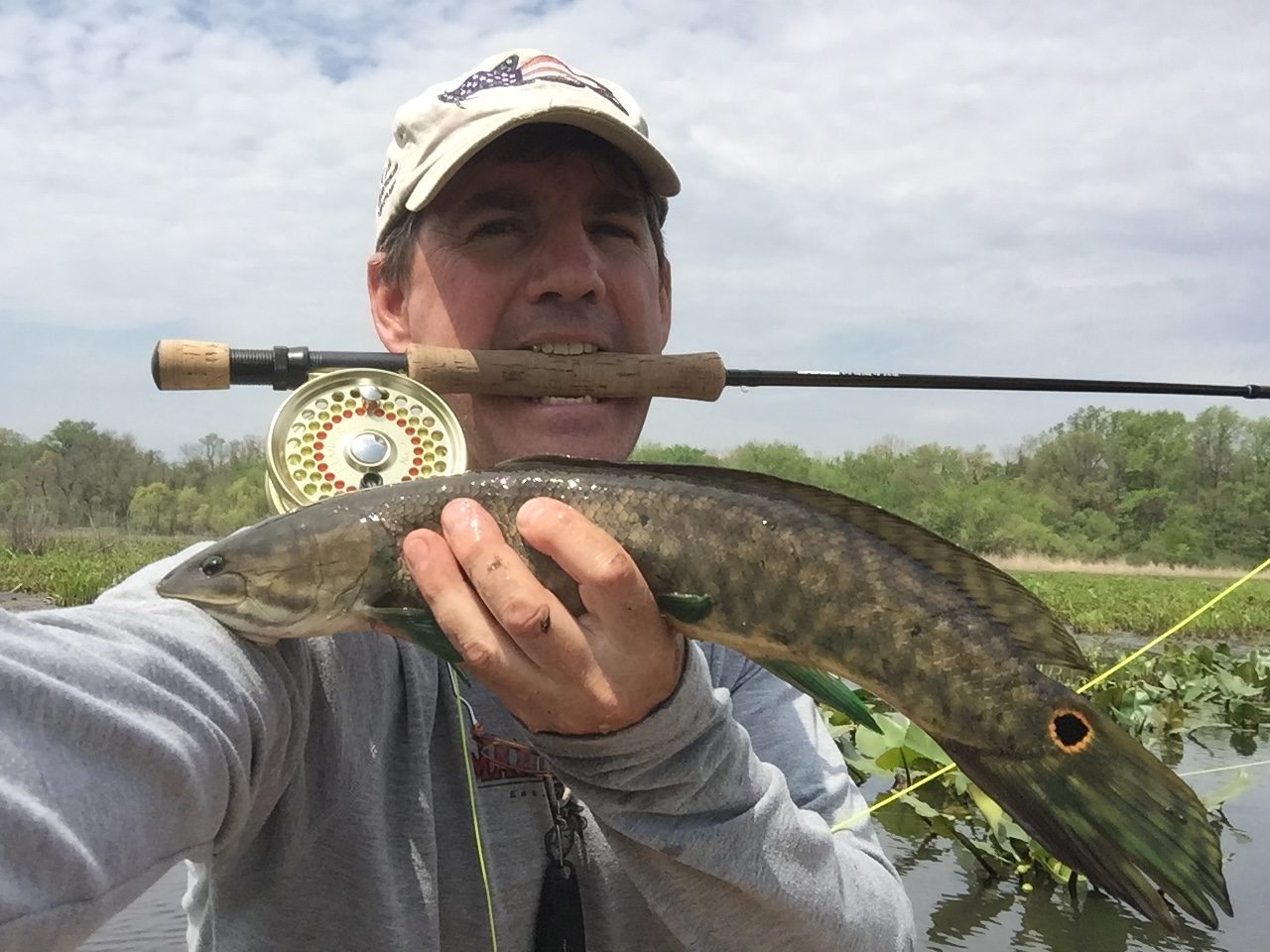 The Unheralded Beauty of the Swamp FishTek