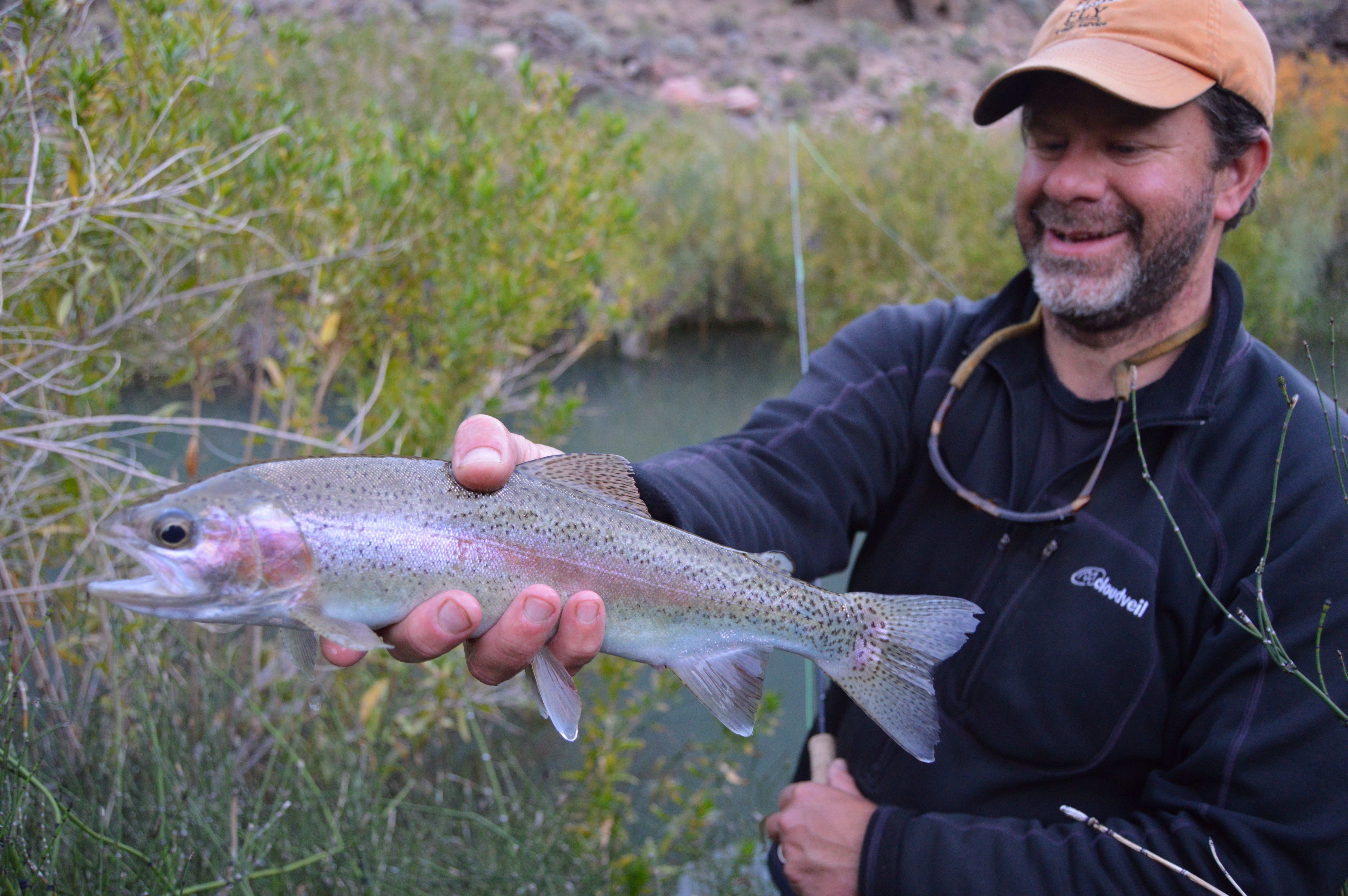 Jackson Hole Fly Fishing Report 1.28.15 Jackson Hole Wyoming Fly