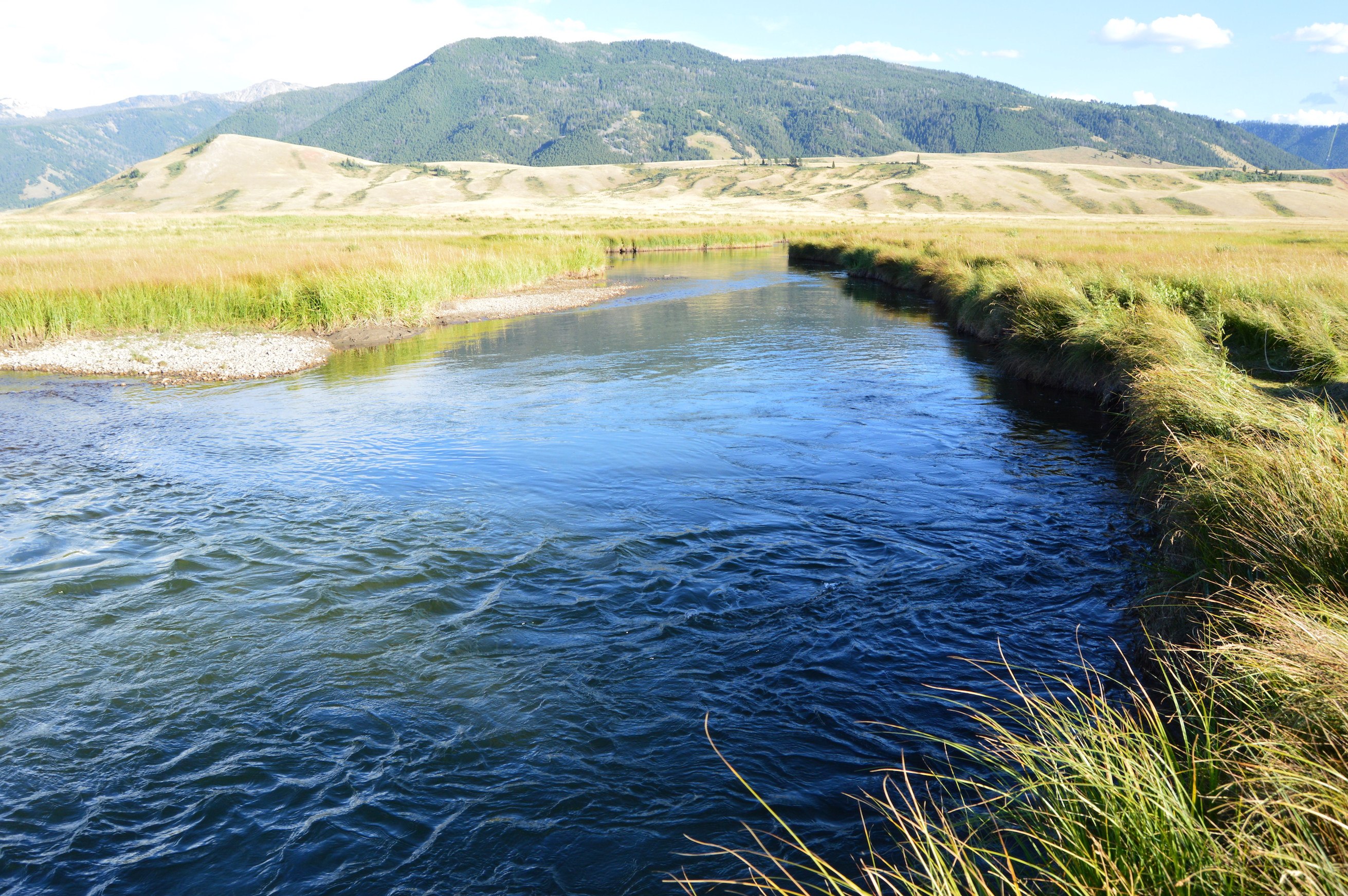 Flat Creek National Elk Refuge Fly Fishing Report 8/12/16 Jackson