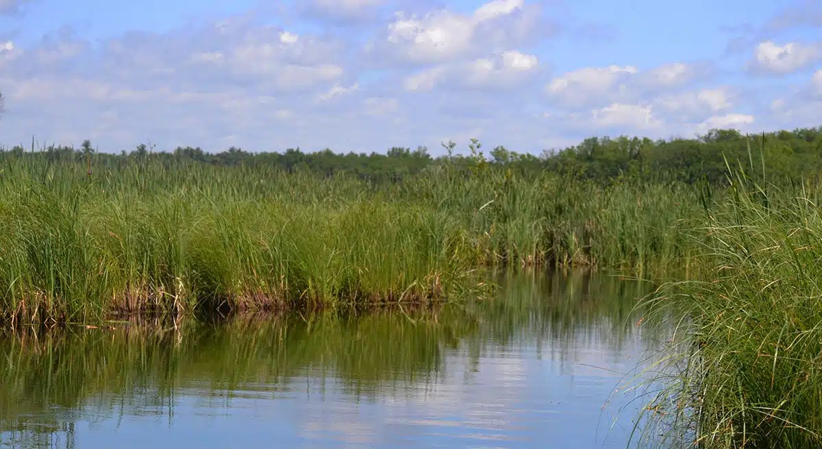 Contact Fish Trap Lake Cushing MN Property Owners Association