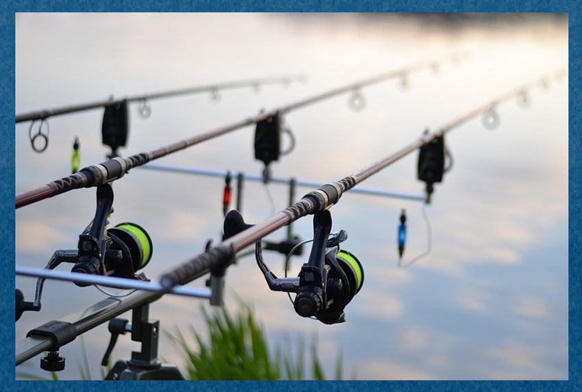 How to Catch Big Carp A Comprehensive Carp Fishing Guide Fishing