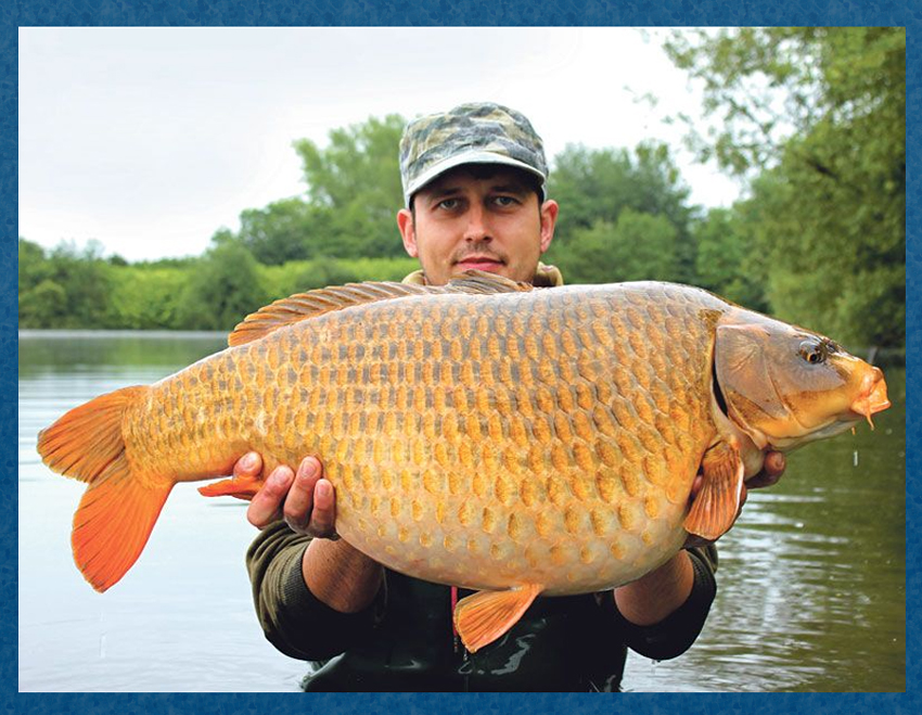 What Is A Ghost Carp Fish? (Koi) Ultimate Fishing Guide Fishing