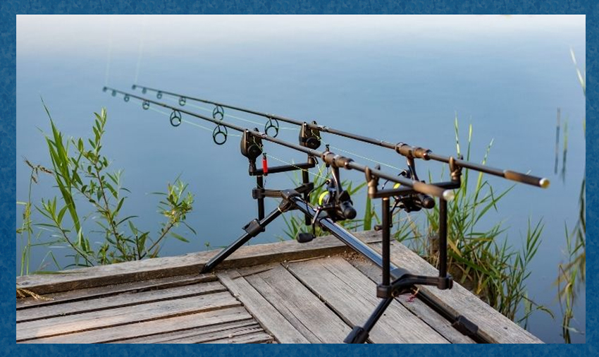 How To Catch Carp in a Pond, Land Those Illusive Fish 7 Tips Fishing