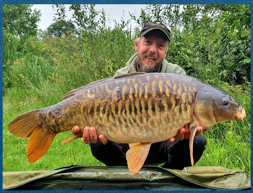 Mirror Carp vs Common Carp Understanding the Differences Fishing