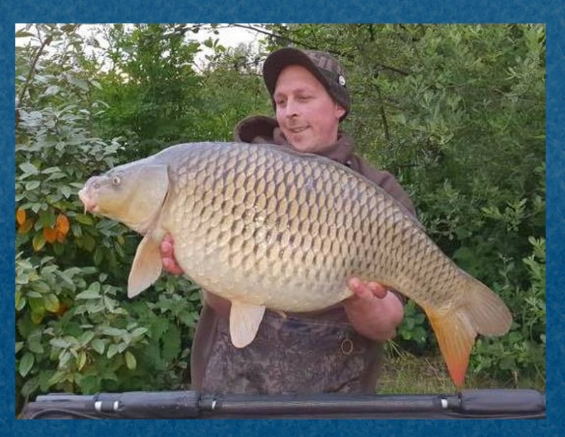 Buy Grass Eating Carp at John Deblois blog